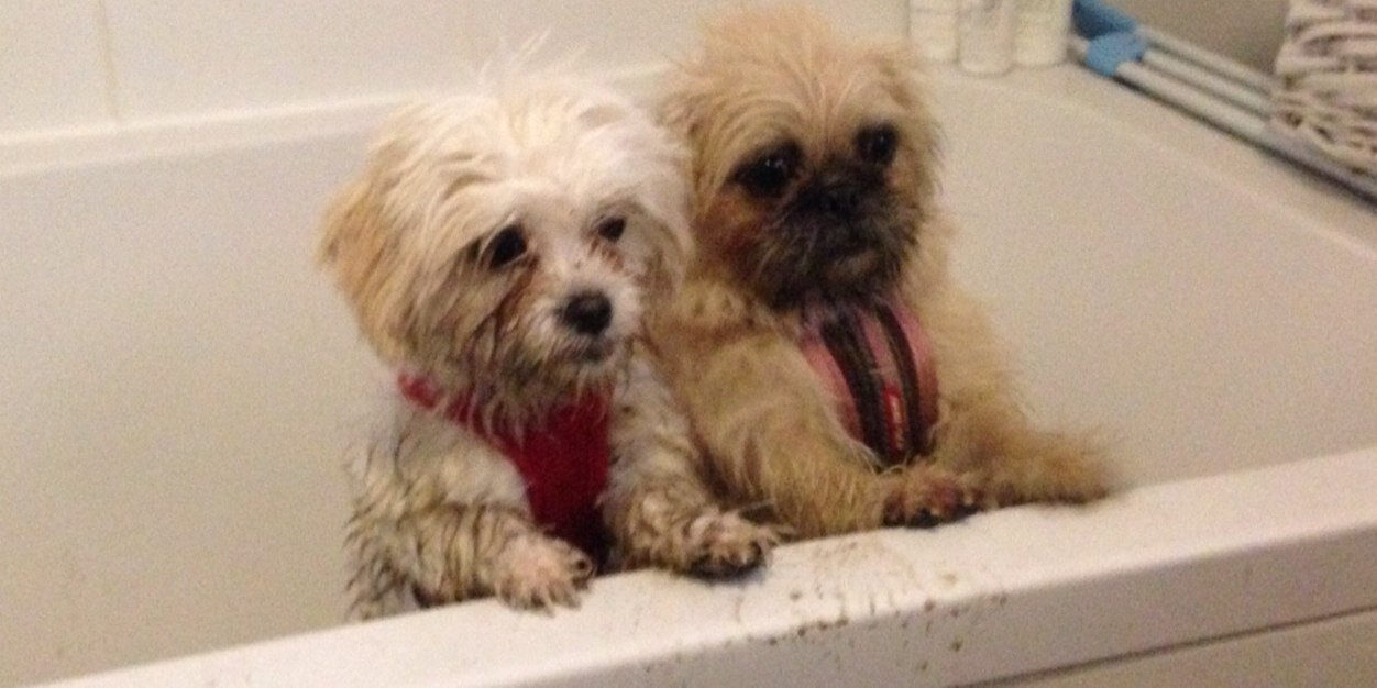 Robert Champion banner