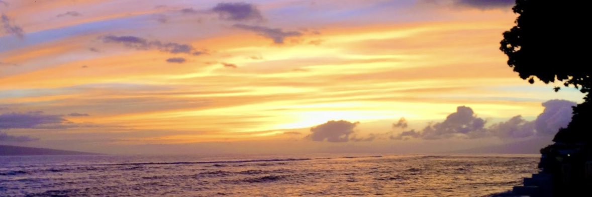 LBaltazar5's profile banner image
