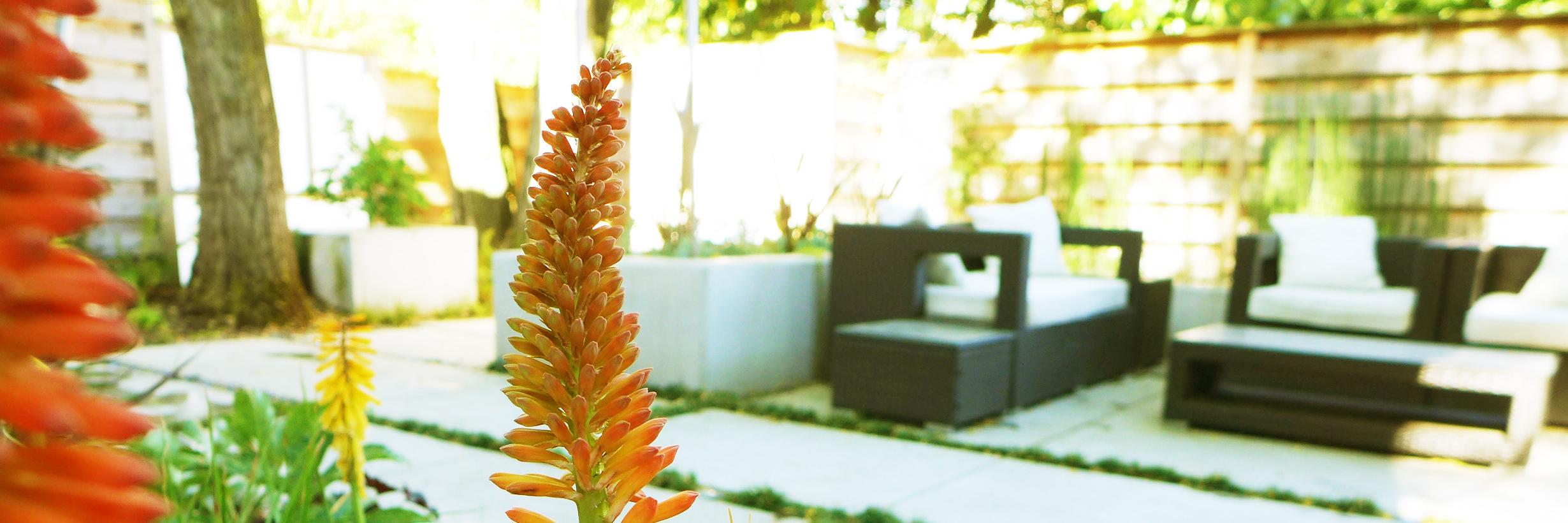 OlanderGarden's profile banner image