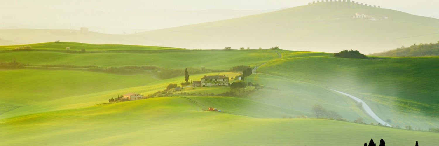 morgankmiler's profile banner image