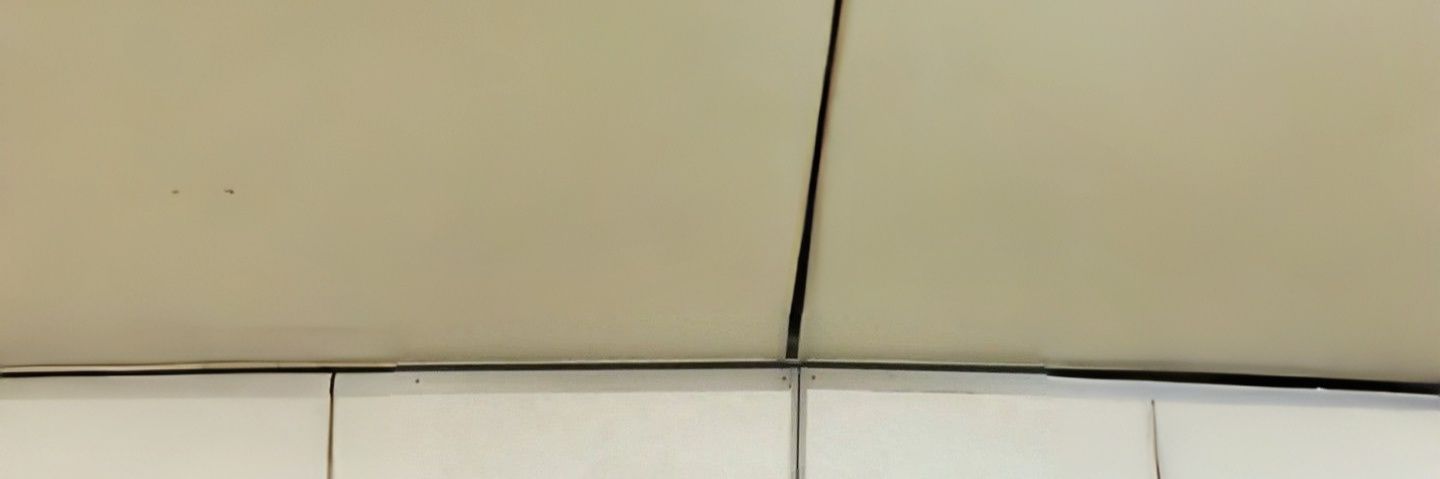 tijuslemon_'s profile banner image