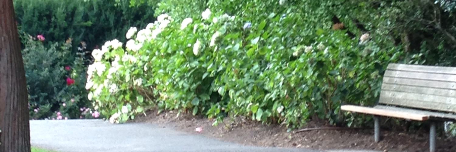scc_cooper's profile banner image