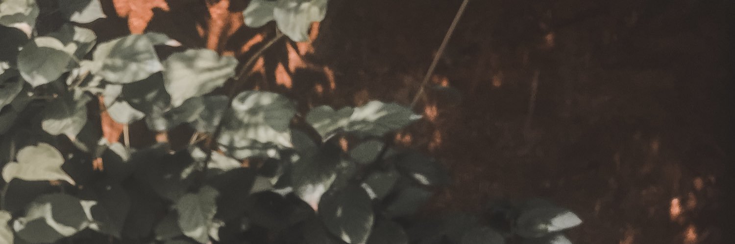 black08witch's profile banner image