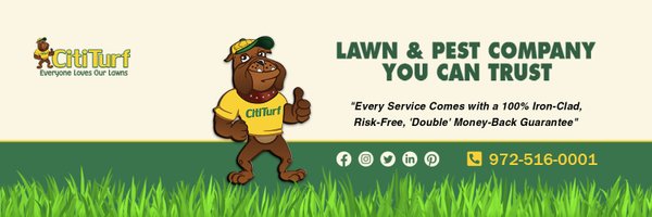cititurf Profile Banner