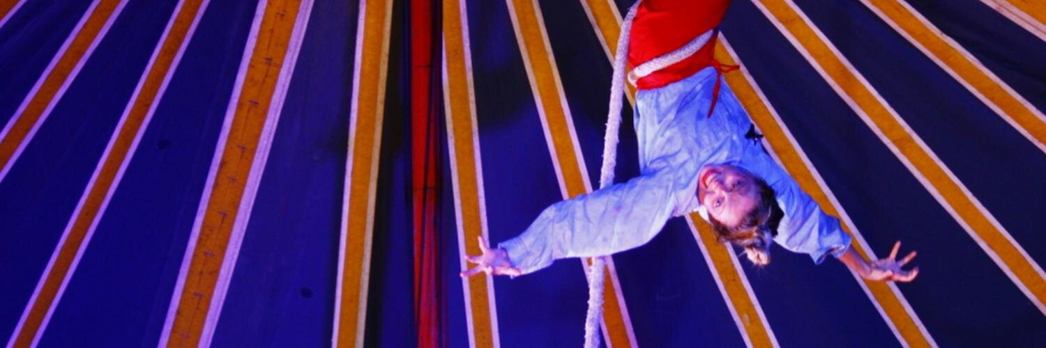 Secret Artist banner