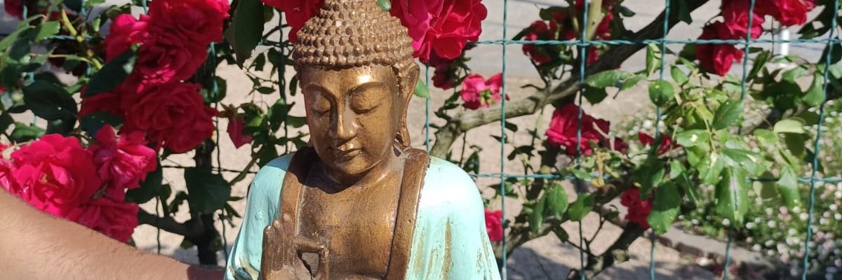 CostelWalentin's profile banner image