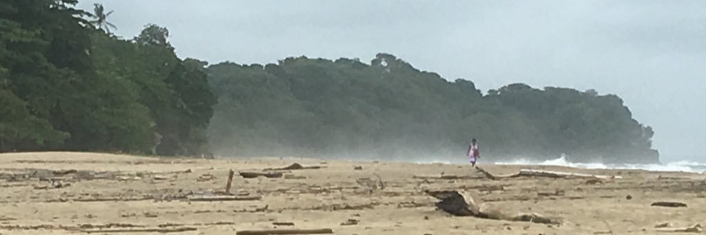 John Alexander banner