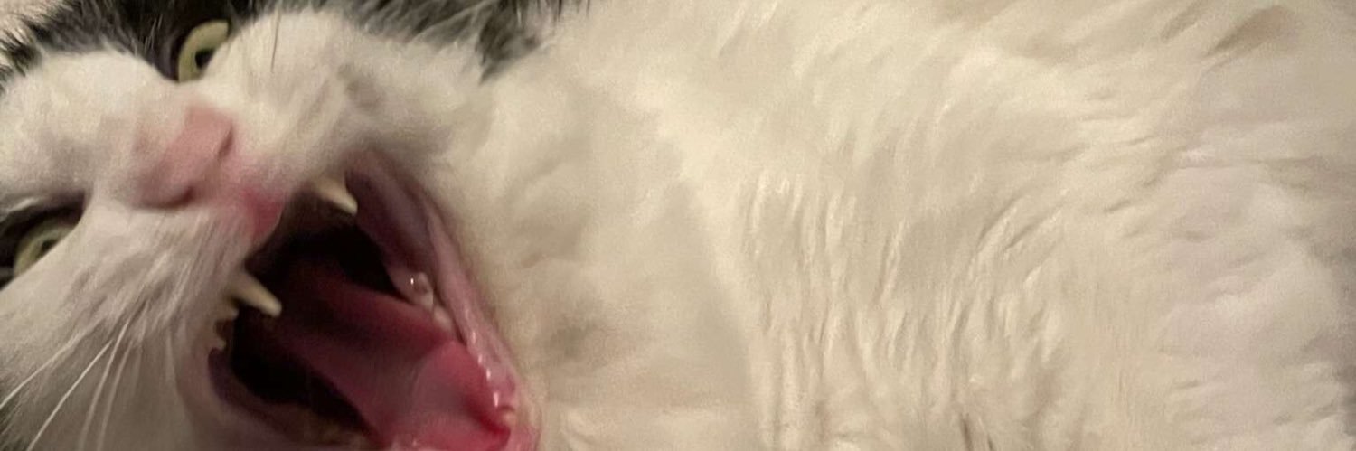 rhazlew's profile banner image