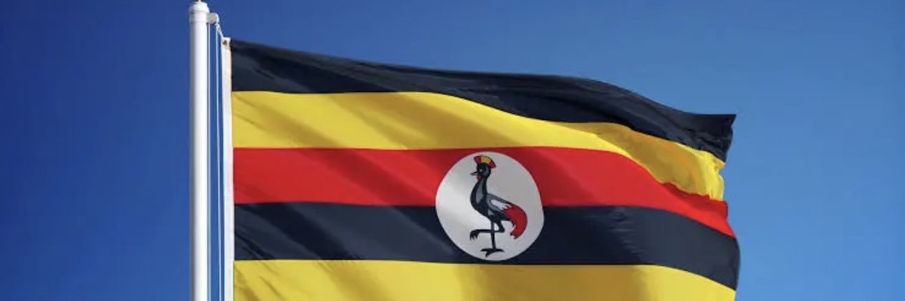 kabbichi jr banner