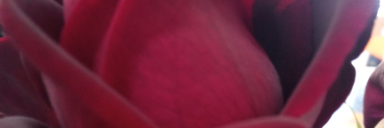 desperanta's profile banner image
