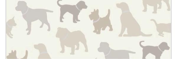 Missingdogs1 Profile Banner