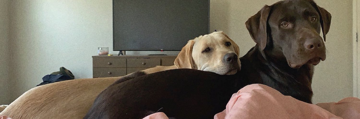 abbiespraguee's profile banner image