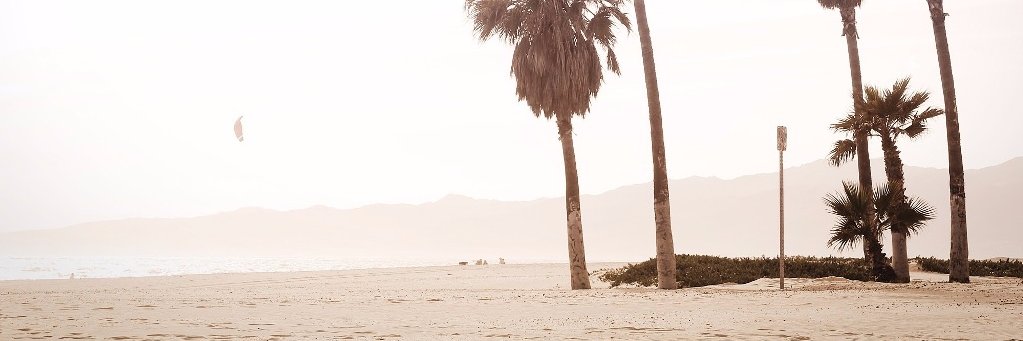 phpface's profile banner image