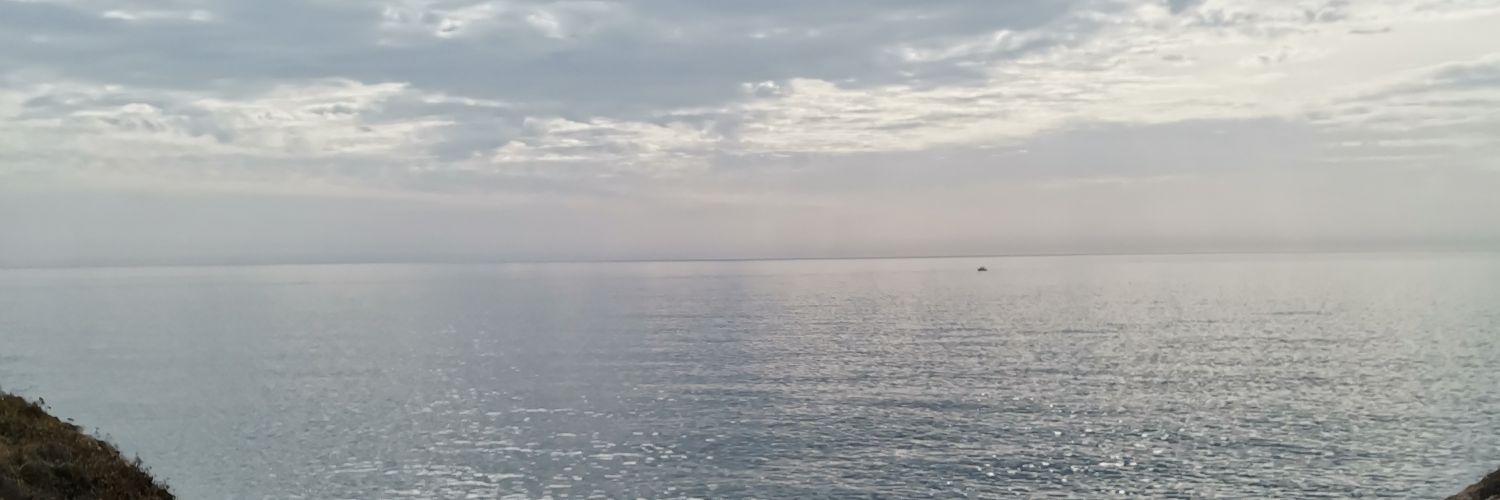 cel_jnrd's profile banner image