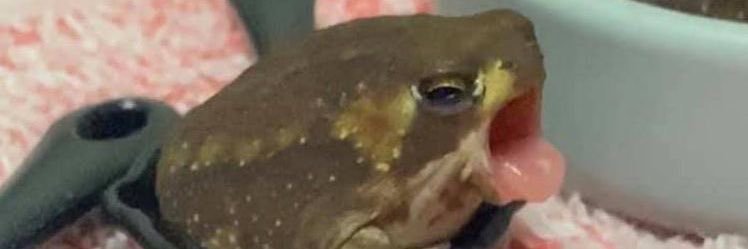 maytendo_'s profile banner image
