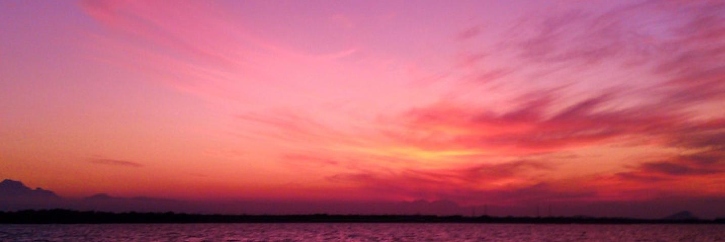 imgrapecrushed's profile banner image