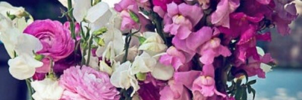 CambridgeStyle Profile Banner