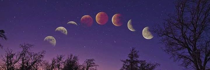 jimenabr03's profile banner image