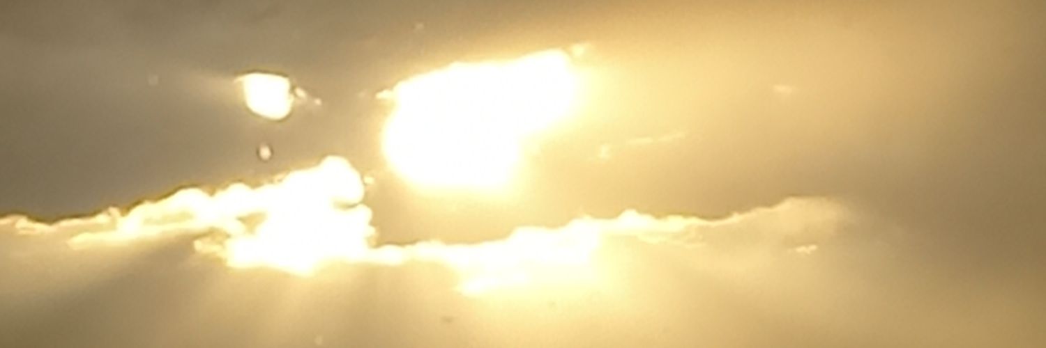 farzinfafa's profile banner image