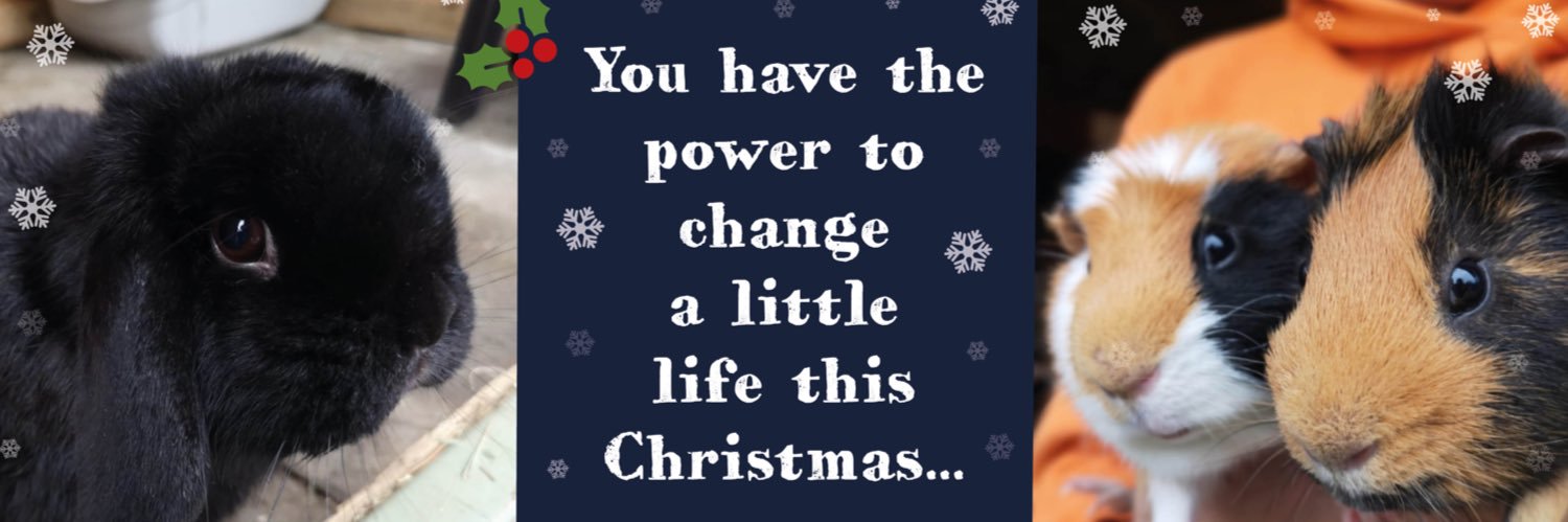 Nibbles Rescue banner