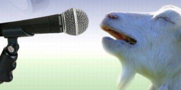 Moses Jimenez banner