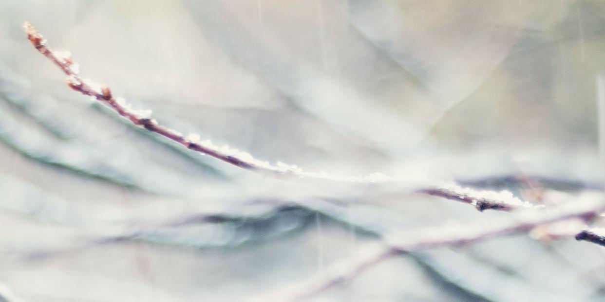 BananAlHadlaq's profile banner image