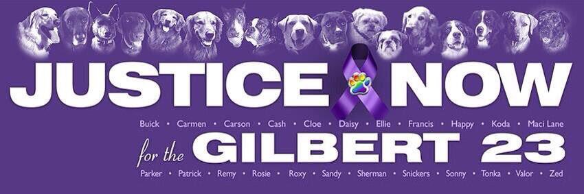 Valerie Collins banner