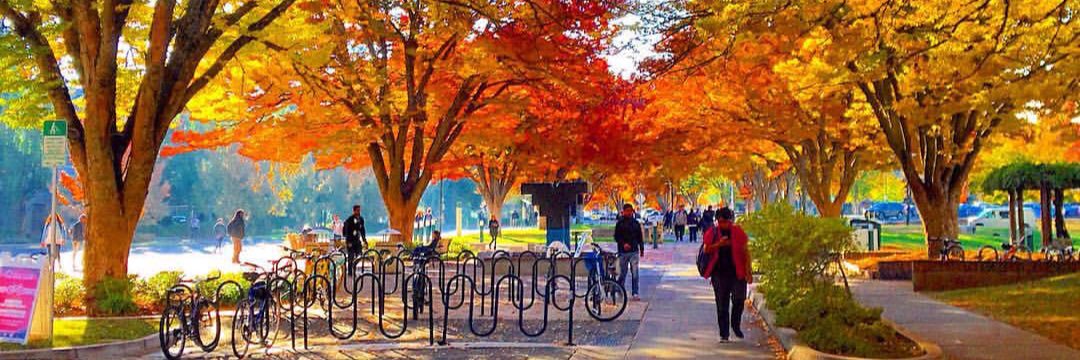 Michael O'Neill banner