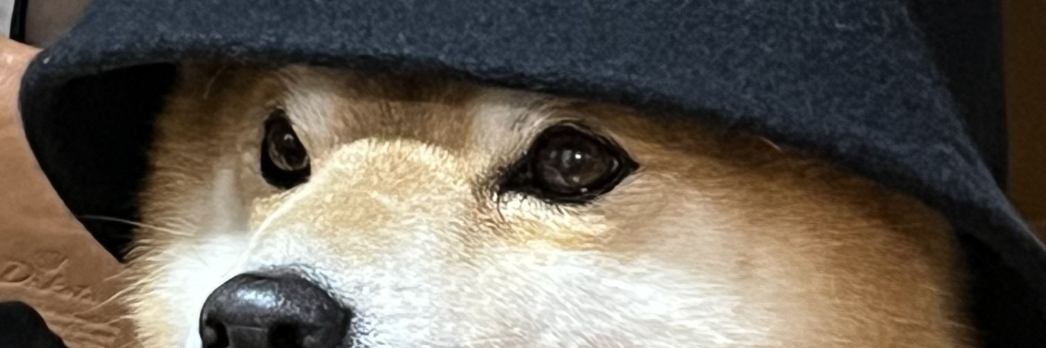 CeaFull's profile banner image