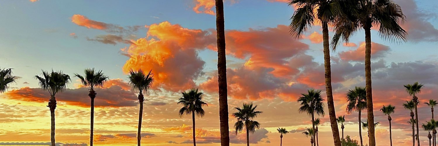 taviabrianne's profile banner image