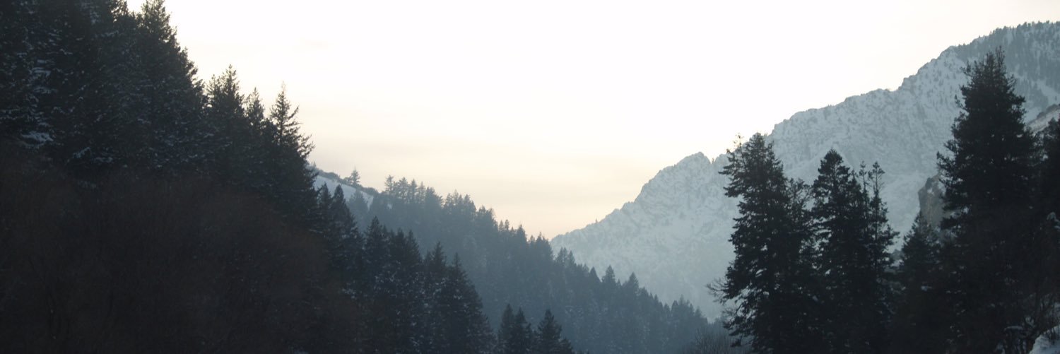 Megbrannelly's profile banner image
