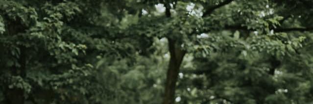 chloegodwin15's profile banner image