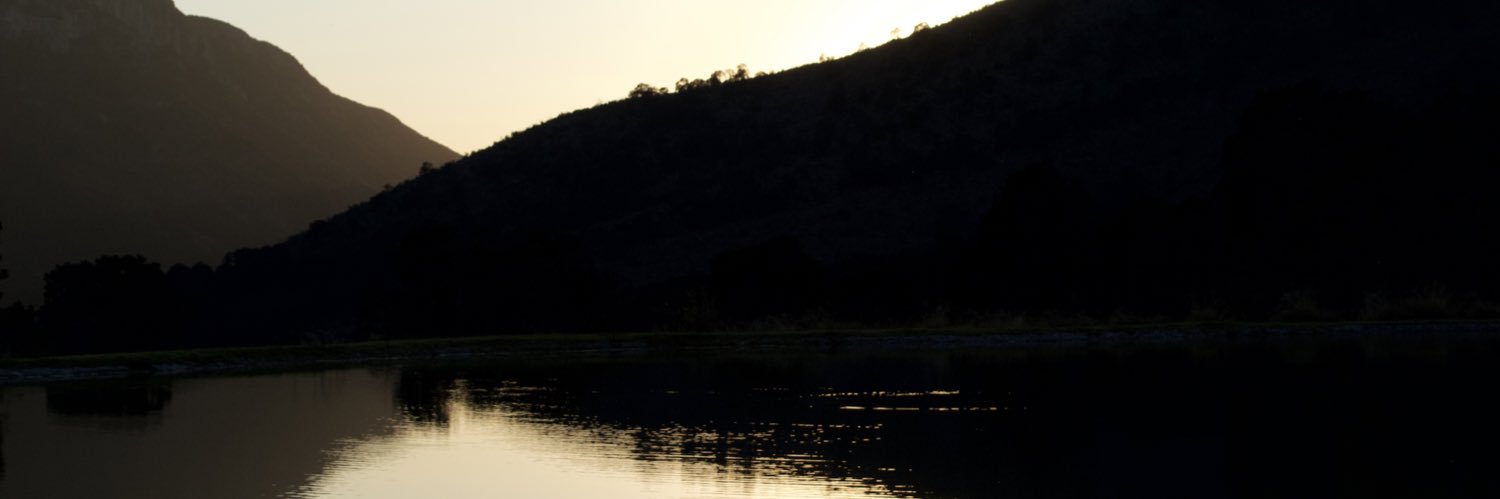 Sara Arias banner