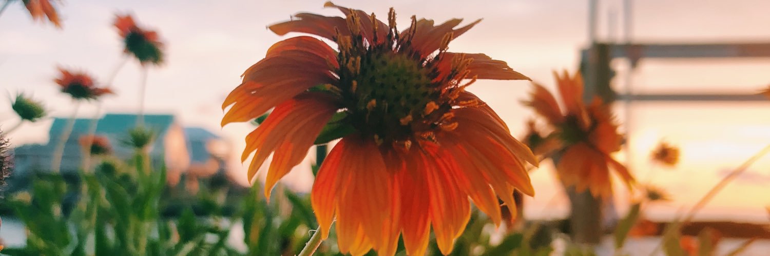 aadriennesmith's profile banner image