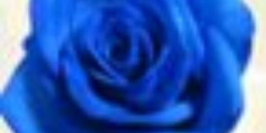 ElJabaliAli's profile banner image