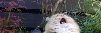 shodgeee's profile banner image