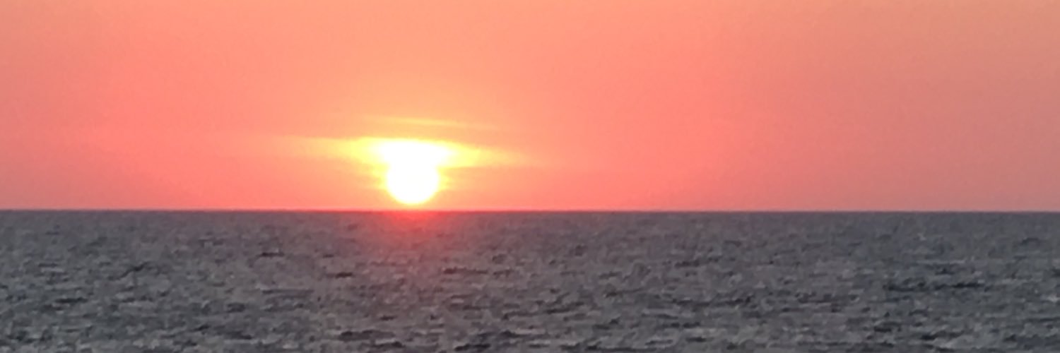 NoraCJohnson's profile banner image