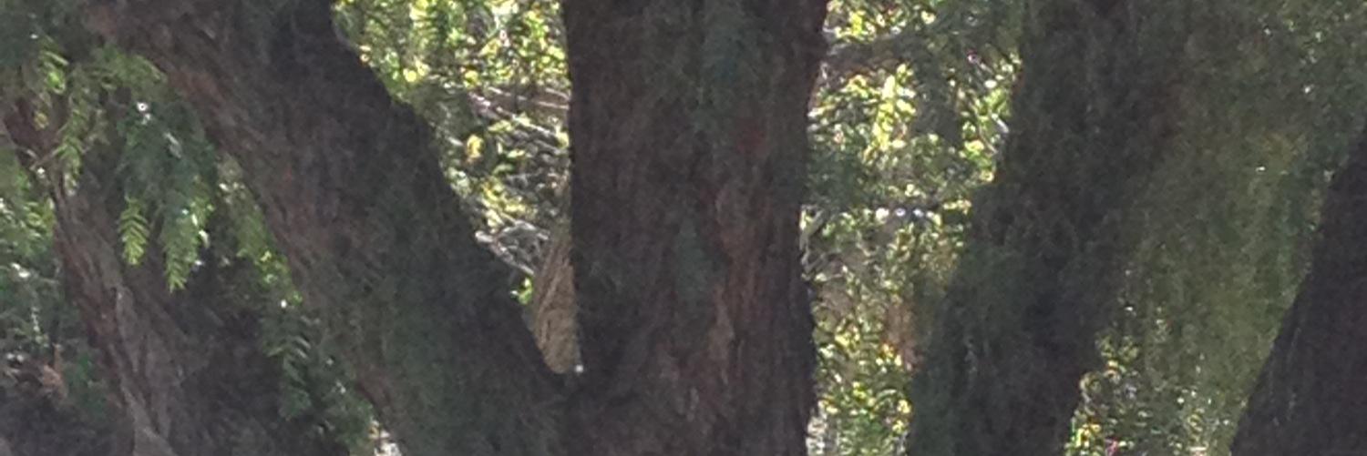 wenster5656's profile banner image