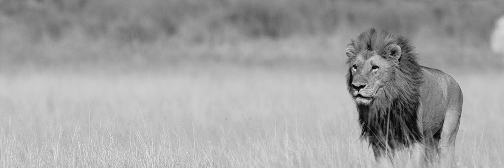 JaredGerber145's profile banner image