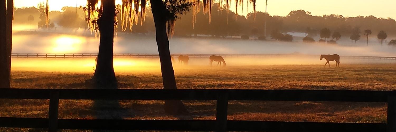 Get_AwayFarm's profile banner image