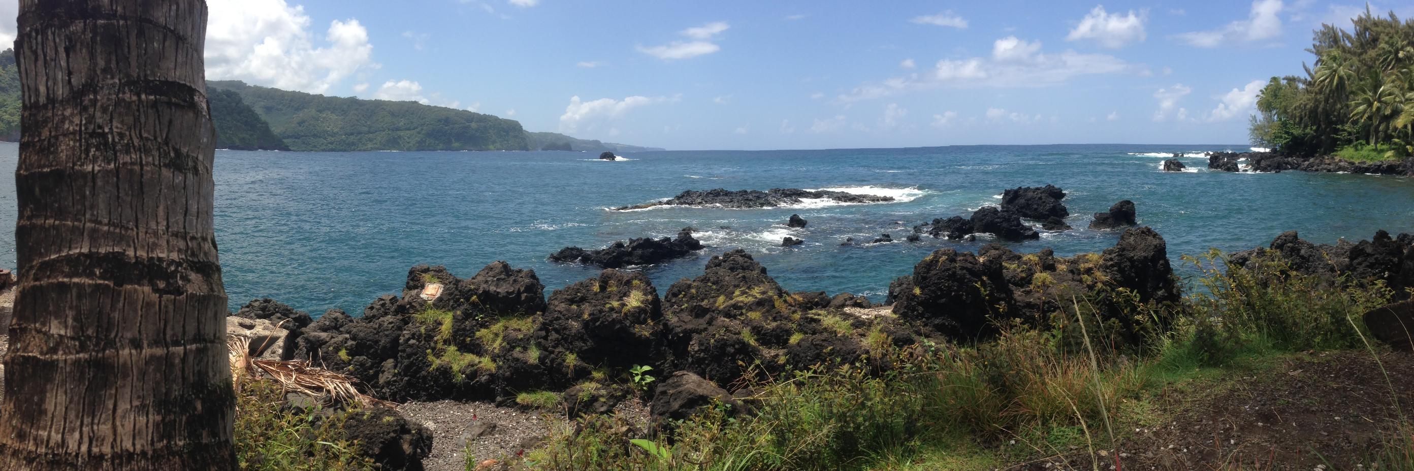 Matthew Lenhart banner