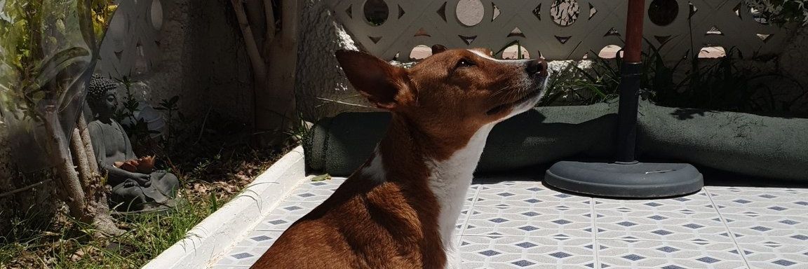 diegoimju's profile banner image
