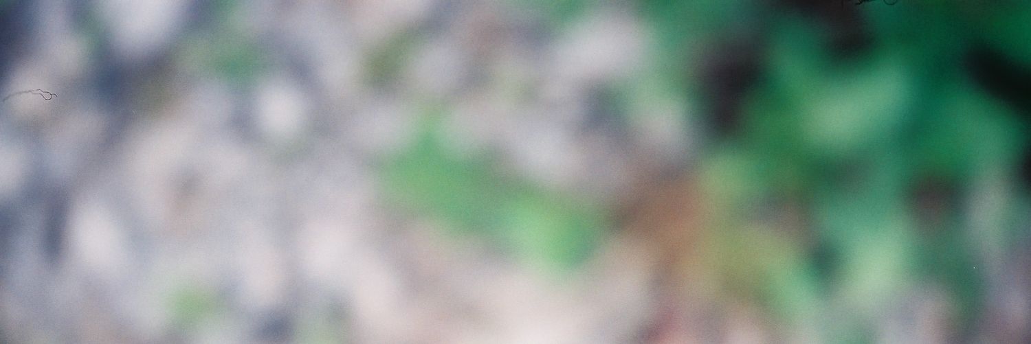 nui_dots's profile banner image