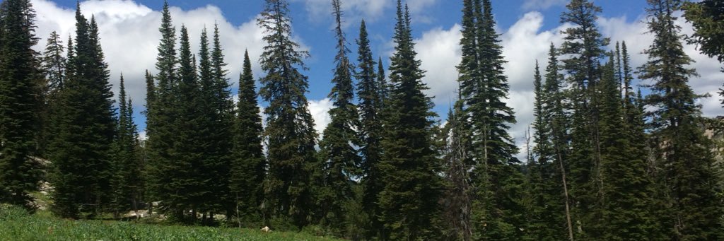 jdrdean6's profile banner image
