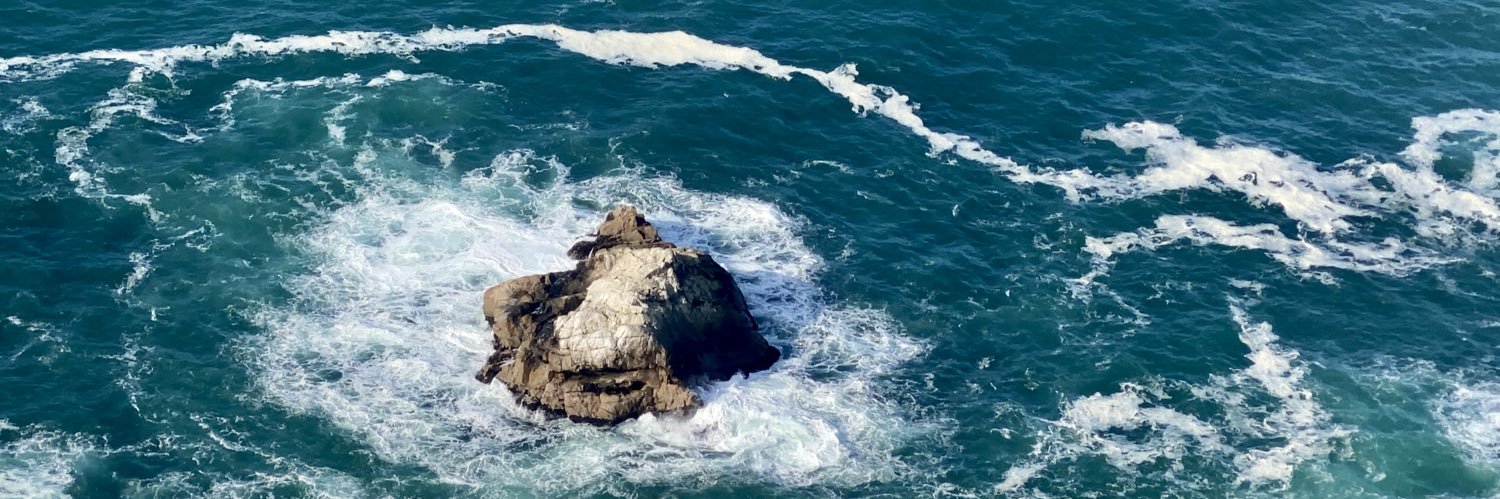 William Ward Butler banner