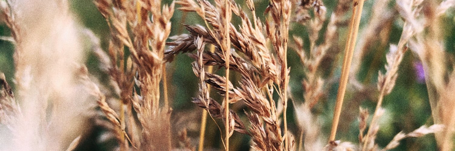 __sealin__'s profile banner image