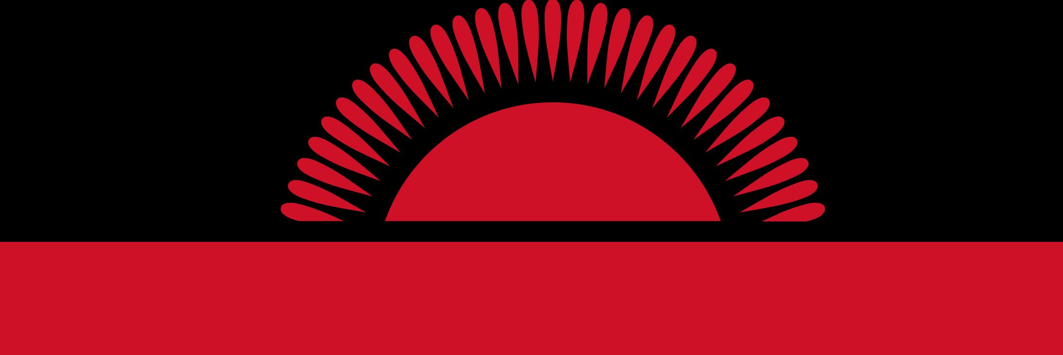 Department of Disaster Management Affairs-DoDMA banner