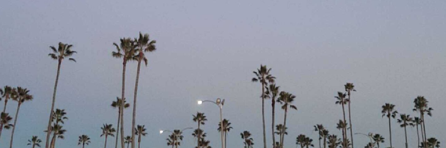 tarrahdactyl_'s profile banner image