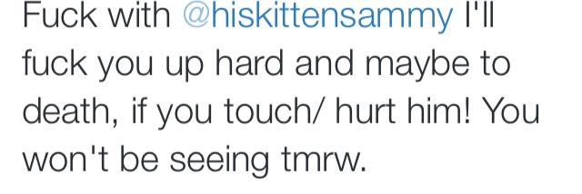 hiskittensammy's profile banner image