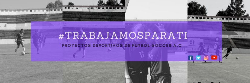 Prodefut Soccer banner